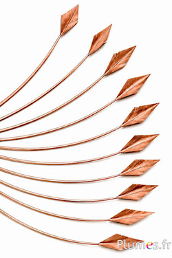 Cigno freccia - 20-30 cm - bronzo